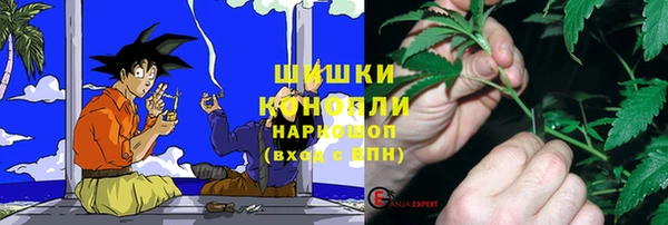 индика Дмитровск