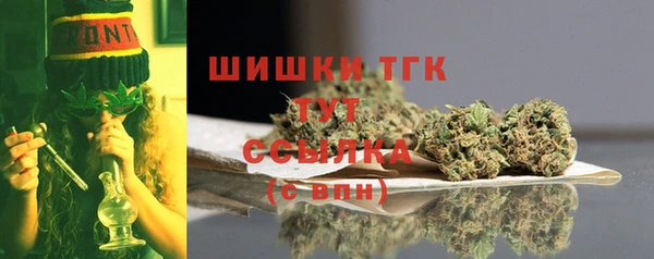 твердый Дмитров
