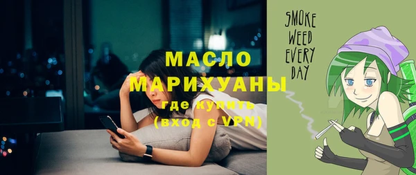 индика Дмитровск