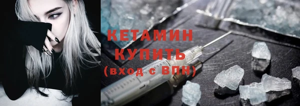 индика Дмитровск