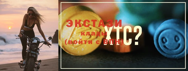 индика Дмитровск