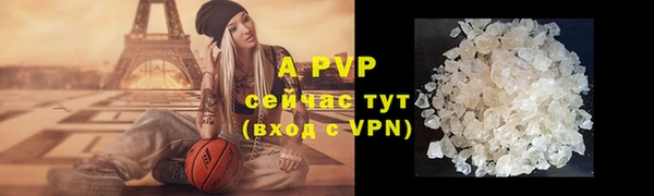 индика Дмитровск