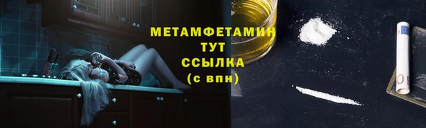 индика Дмитровск
