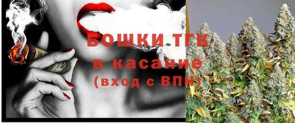 индика Дмитровск