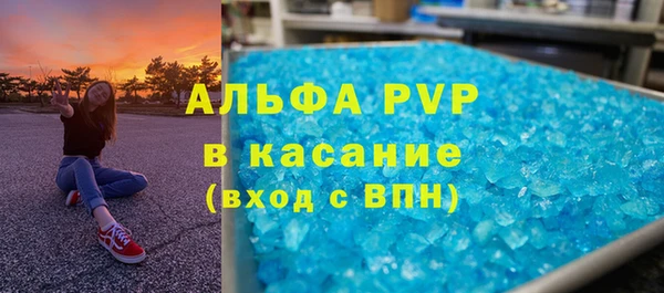 индика Дмитровск