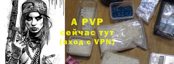 индика Дмитровск