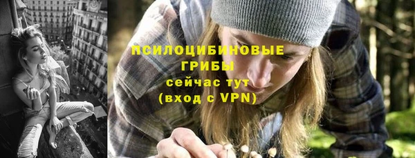 дживик Дмитриев