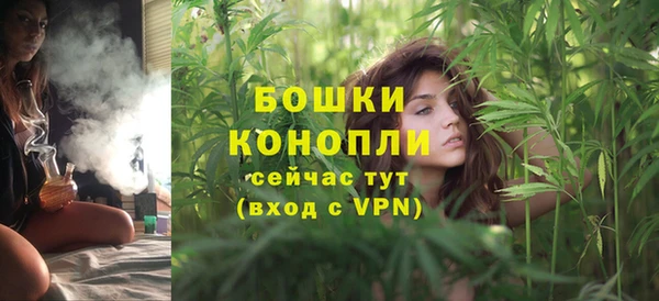 дживик Дмитриев