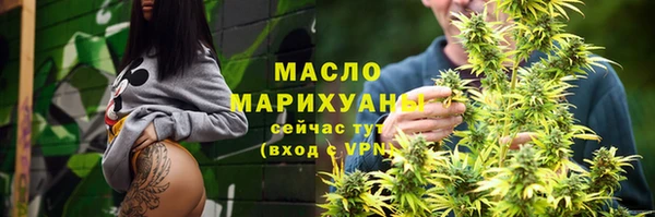 индика Дмитровск