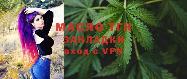 индика Дмитровск