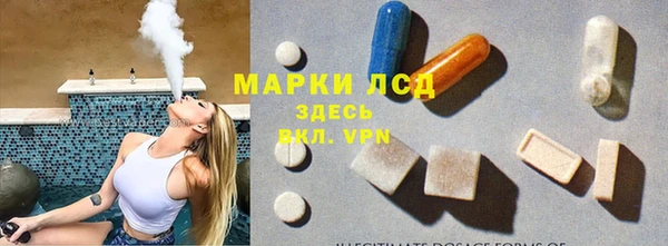 индика Дмитровск