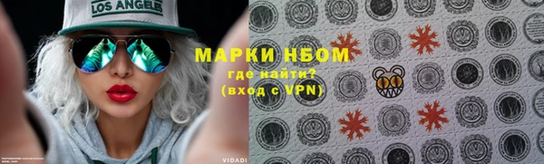 индика Дмитровск