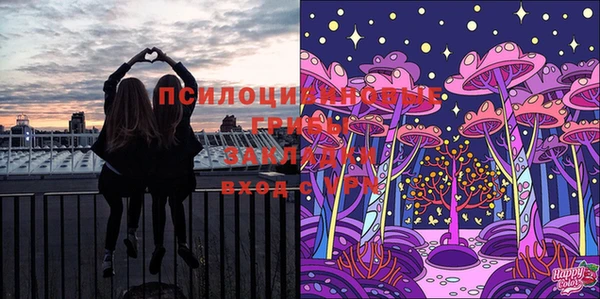 дживик Дмитриев