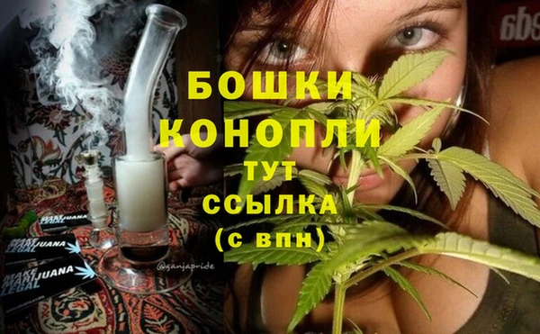 индика Дмитровск