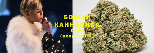 твердый Дмитров